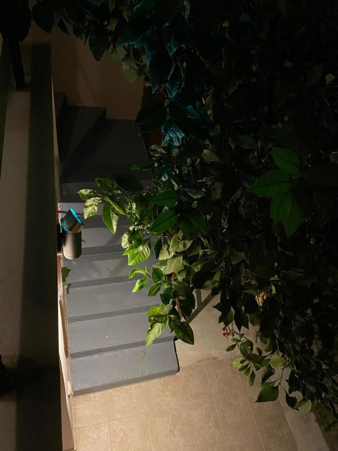 Maria'S Haus In Artemidaアパートメント エクステリア 写真